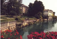 treviso